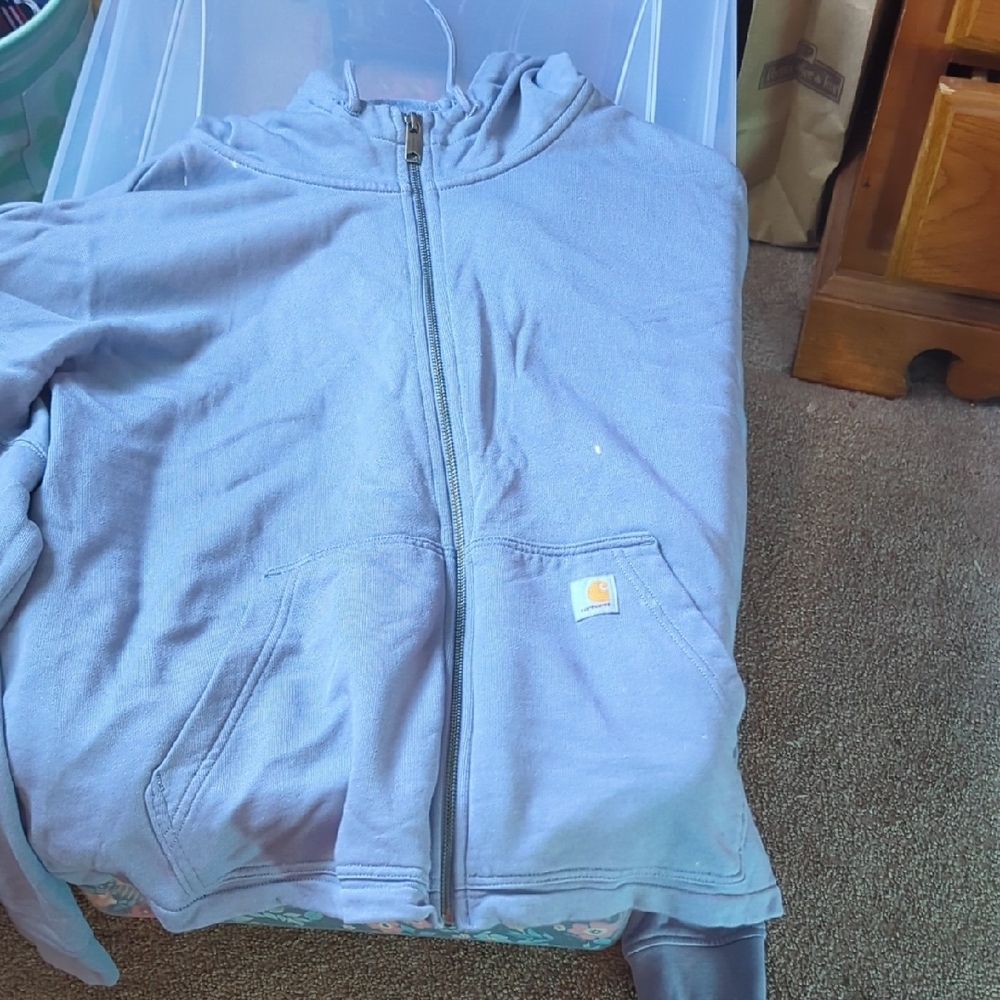 Carhartt Kids Light Blue Hoodie Jacket